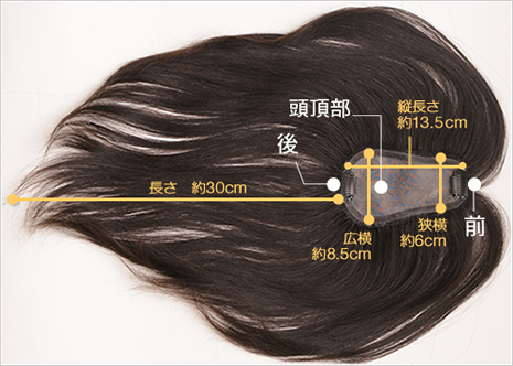 TP100R-MONO�̃T�C�Y